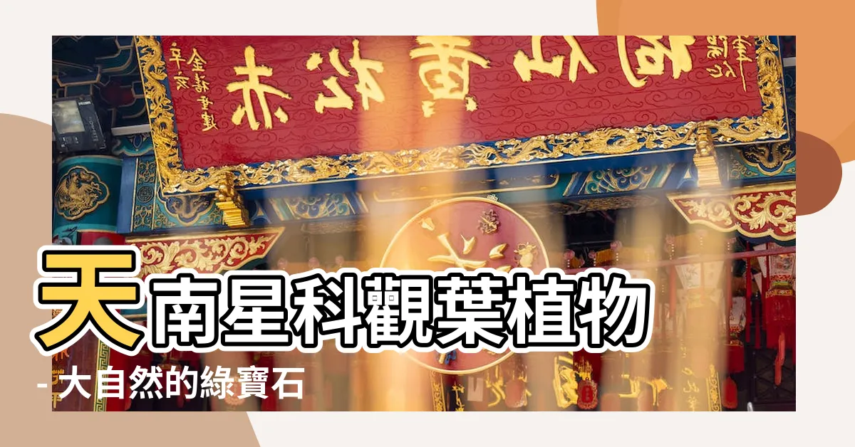【天南星科觀葉植物】天南星科觀葉植物 - 大自然的綠寶石