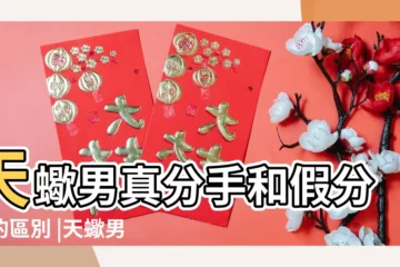 【天蠍分手後心理變化】天蠍男真分手和假分手的區別 |天蠍男分手後心理階段 |天蠍男分手後心理階段是什麼 |