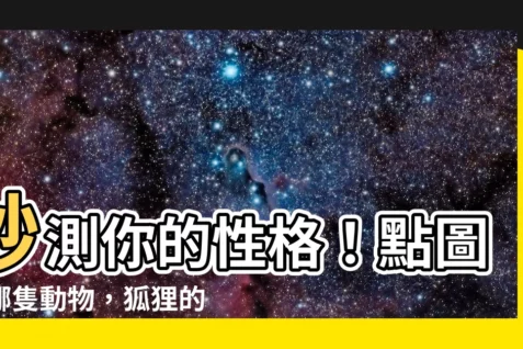 【狐狸的性格】秒測你的性格!點圖測哪隻動物,狐狸的性格特點讓你秒懂