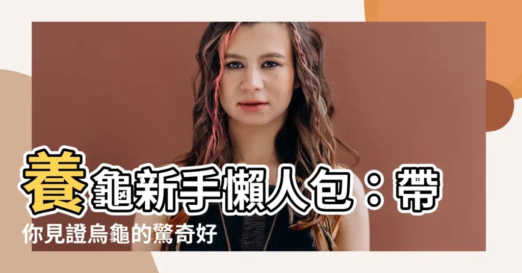 【養龜的好處】養龜新手懶人包:帶你見證烏龜的驚奇好處