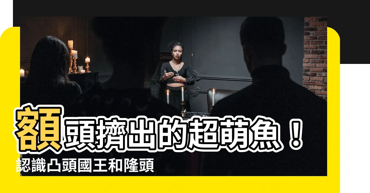 【額頭凸的魚】額頭擠出的超萌魚！認識凸頭國王和隆頭魚好朋友