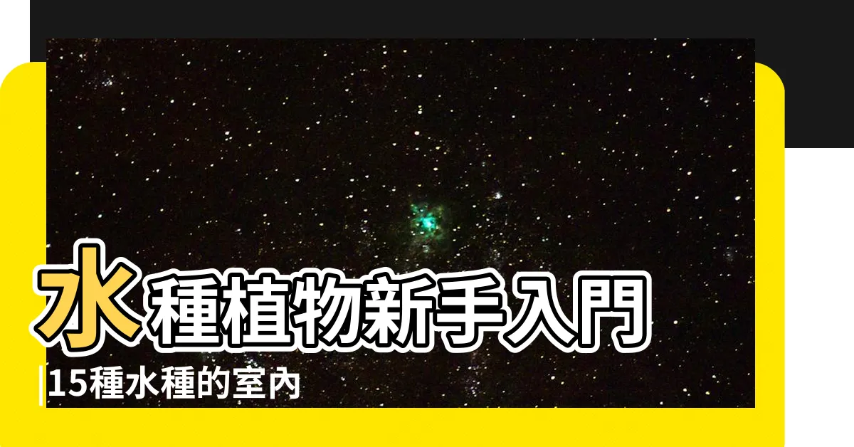 【室內水生植物】水種植物新手入門 |15種水種的室內植物淨化空氣及使家居 |懶人植物指南 |