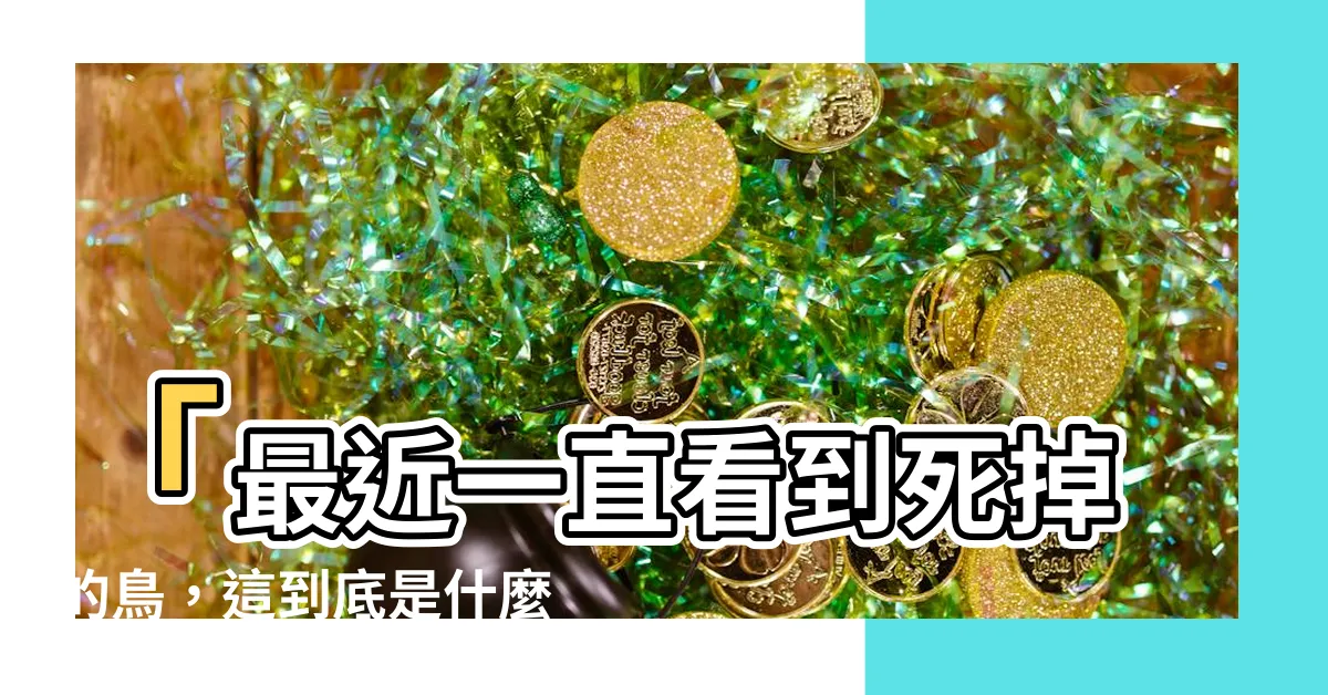 【一直看到死掉的鳥】「最近一直看到死掉的鳥，這到底是什麼兆頭？」