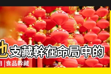 【幹藏的意思】地支藏幹在命局中的作用 |食品幹藏 |藏幹是什麼意思 |