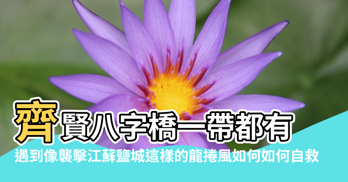 【鹽城 龍捲風 風水】齊賢八字橋一帶都有 |遇到像襲擊江蘇鹽城這樣的龍捲風如何如何自救 |紹興歷史上錢清西小江 |
