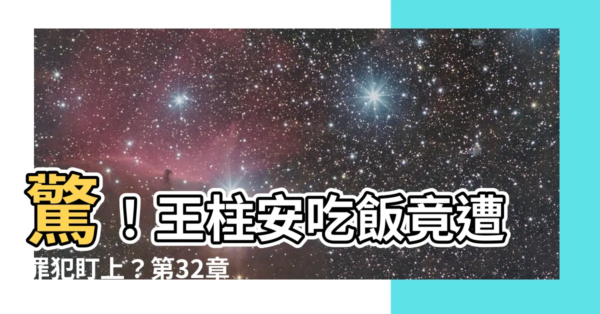 【王柱安】驚！王柱安吃飯竟遭罪犯盯上？第32章高能劇情，懸念迭起