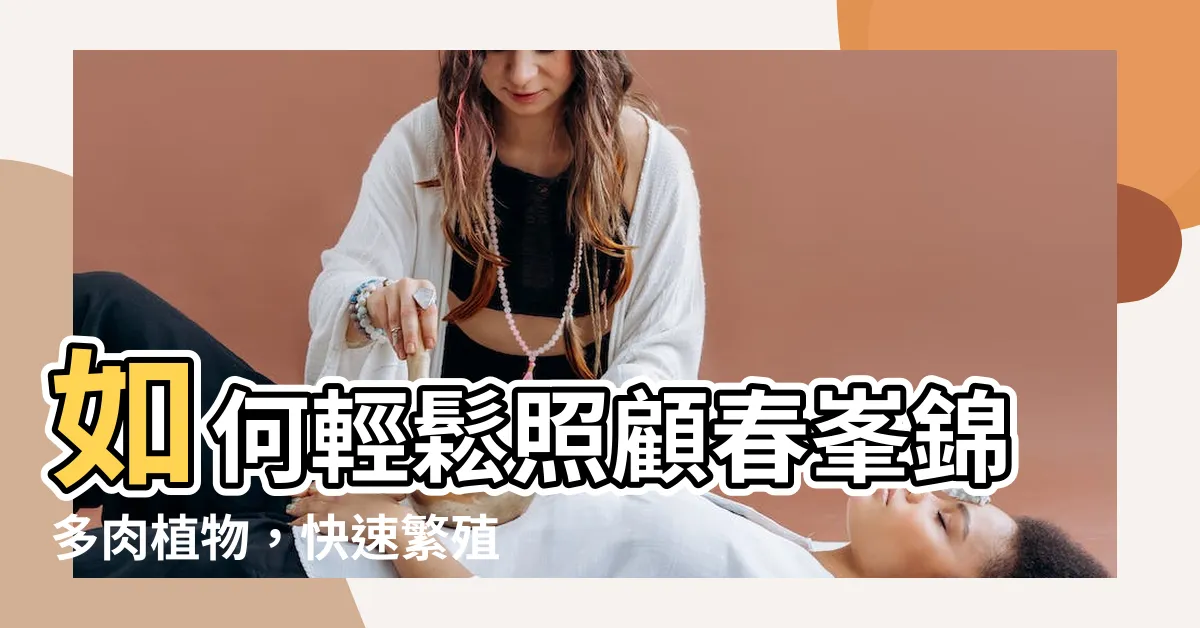 【春峯錦照顧】如何輕鬆照顧春峯錦多肉植物，快速繁殖彩春峯，輕鬆打理室內盆栽