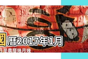 【2017年1月21日】國曆2017年1月21日是農曆幾月幾日 |2017年1月21日出生時間看命運 |2017年1月21日黃歷 |