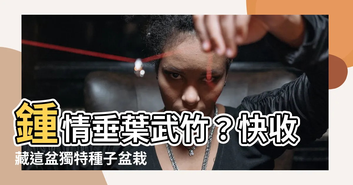 【垂葉武竹】鍾情垂葉武竹？快收藏這盆獨特種子盆栽，探索武竹魅力！