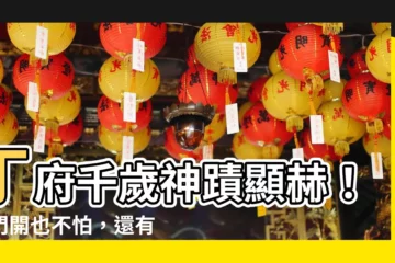 【丁府千歲】丁府千歲神蹟顯赫！鬼門開也不怕，還有八千歲聖誕千秋相伴
