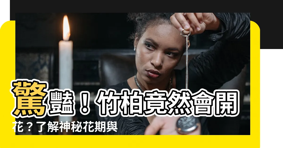 【竹柏開花】驚豔！竹柏竟然會開花？瞭解神秘花期與寓意，探索盆栽竹柏的奧秘