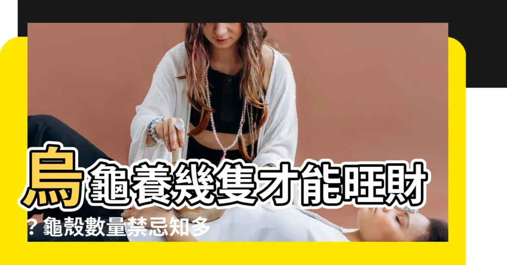 【烏龜數量禁忌】烏龜養幾隻才能旺財？龜殼數量禁忌知多少