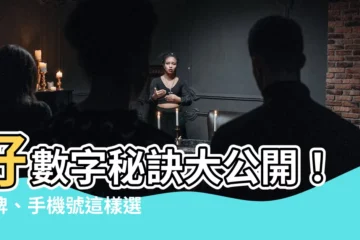 【好數字】好數字秘訣大公開！車牌、手機號這樣選，幸福旺運享不盡