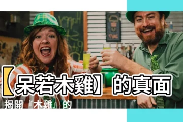 【木雞】【呆若木雞】的真面目！揭開『木雞』的驚人秘密
