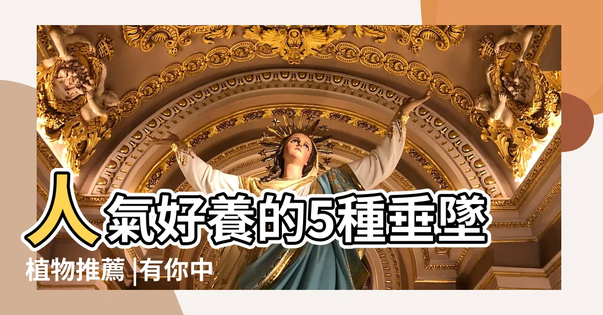 【垂吊植物種類】人氣好養的5種垂墜植物推薦 |有你中意的款嗎 |打造居家綠色垂墜瀑布 |