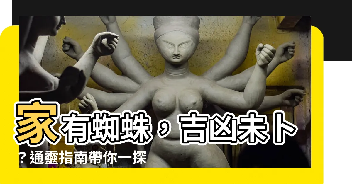 【蜘蛛家裡】家有蜘蛛，吉凶未卜？通靈指南帶你一探究竟