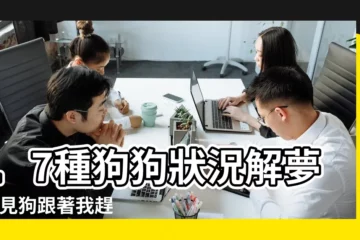 【夢見買了狗狗不跟我走】17種狗狗狀況解夢 |夢見狗跟著我趕都趕不走 |周公解夢之夢見買狗 |