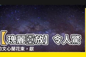 【文心蘭花束】【瑰麗綻放】令人驚艷的文心蘭花束，獻給獨特的她