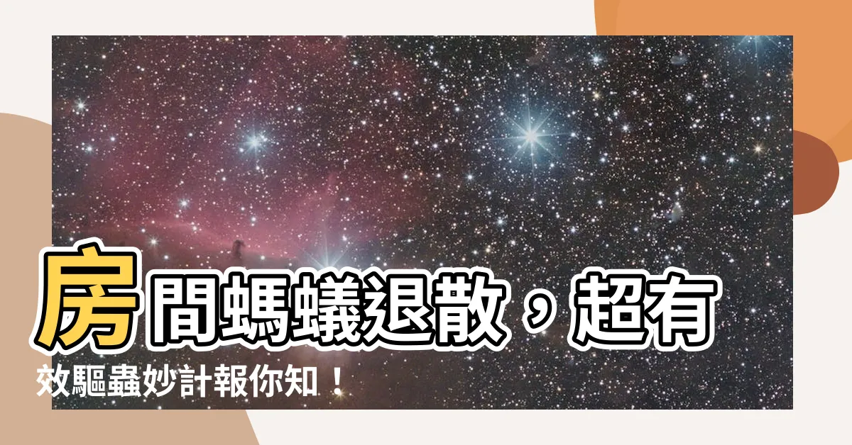 【房間螞蟻】房間螞蟻退散，超有效驅蟲妙計報你知！