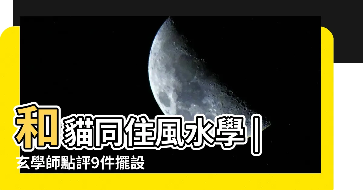 【金絲貓風水】和貓同住風水學 |玄學師點評9件擺設功 |家居風水 |