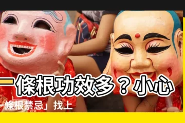 【一條根禁忌】一條根功效多？小心「一條根禁忌」找上身！哪些人該禁止使用？