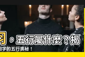 【羽 五行屬什麼】羽，五行屬什麼？揭開羽字的五行奧秘！