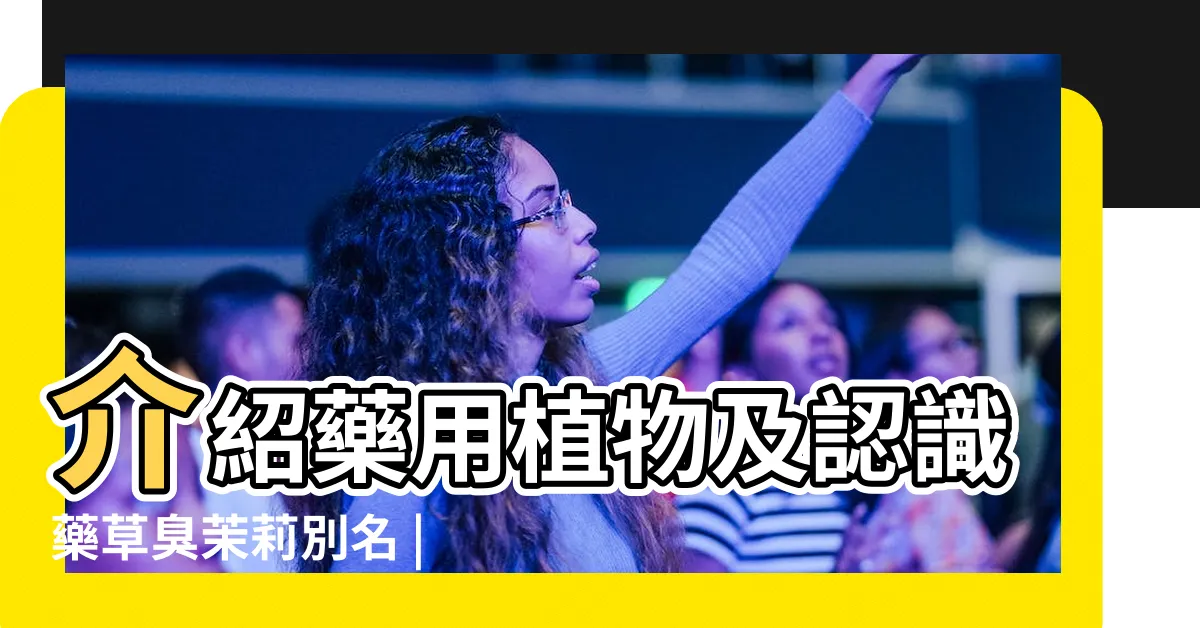 【臭茉莉抗癌】介紹藥用植物及認識藥草臭茉莉別名 |讓我的身體有這些轉變 |臭屎茉莉 |