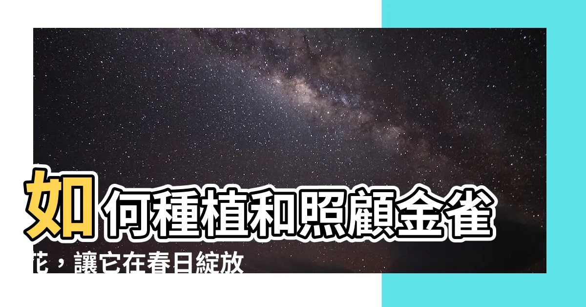【金雀花種植】如何種植和照顧金雀花，讓它在春日綻放絢爛花海