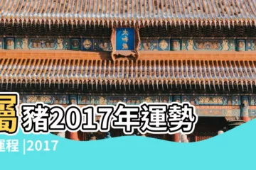 【1995年2017年運勢婚姻】屬豬2017年運勢及運程 |2017年生肖豬要注意的情感問題 |1995年屬豬的人2017年運程 |