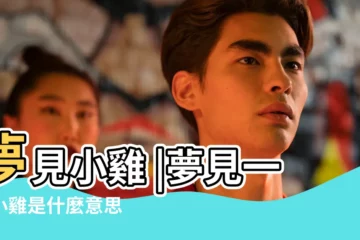 【做夢夢到走路遇到一窩小雞】夢見小雞 |夢見一隻小雞是什麼意思 |
