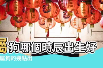 【時辰屬狗的命運好嗎】屬狗哪個時辰出生好命 |屬狗的幾點出生最好 |屬狗什麼時辰出生最好 |