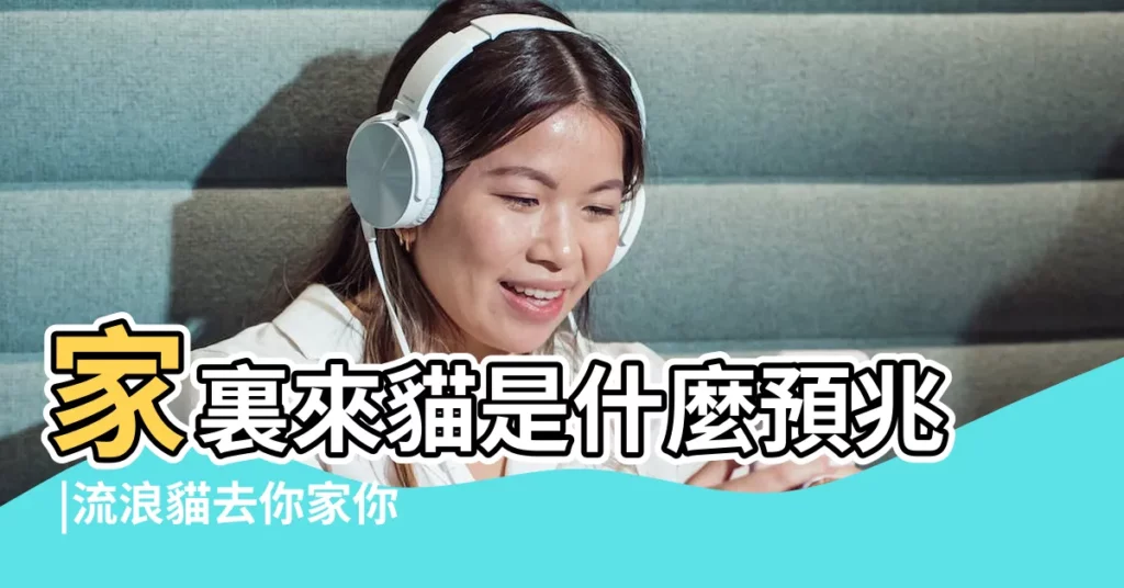 家裏來貓是什麼預兆 |流浪貓去你家你會怎麼做 |搜索結果 |【流浪貓跑進家裡】