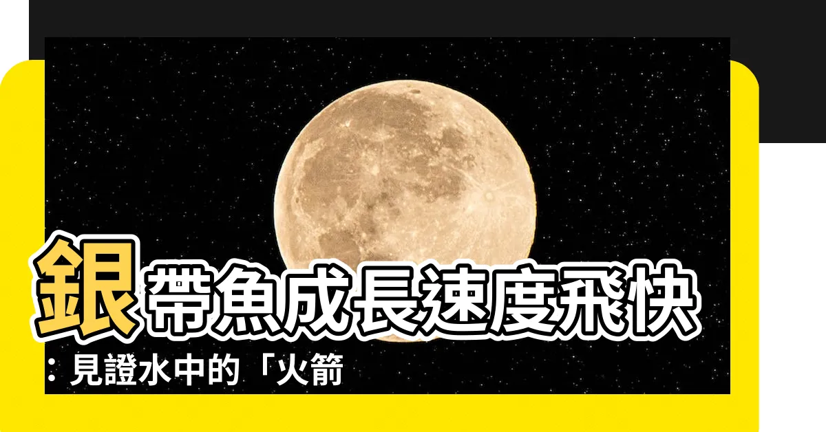 【銀帶成長速度】銀帶魚成長速度飛快：見證水中的「火箭」！
