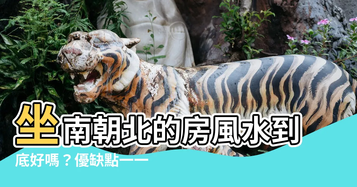 【做南朝北】坐南朝北的房風水到底好嗎？優缺點一一看透