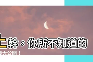 【上幹 意思】上幹，你所不知道的含義大公開！