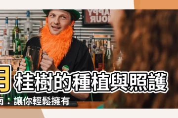 【月桂樹種植】月桂樹的種植與照護指南：讓你輕鬆擁有香氣滿園的家