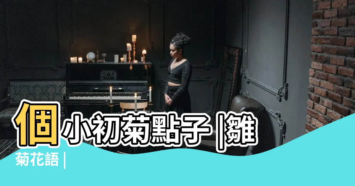 【小初菊】個小初菊點子 |雛菊花語 |