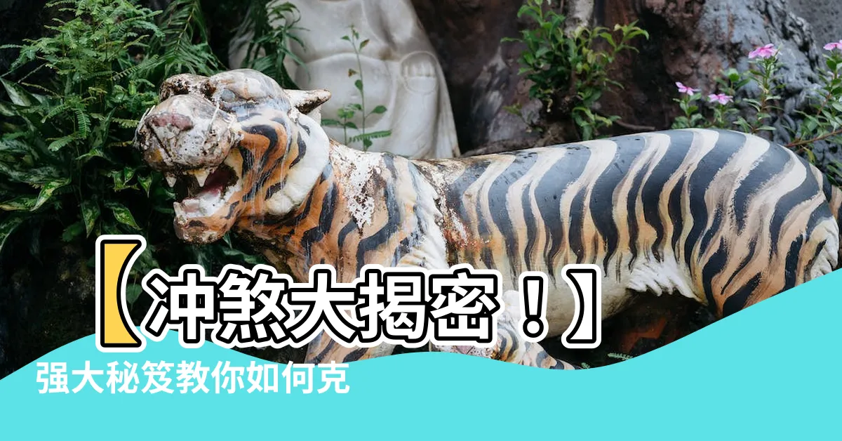 【衝煞】【衝煞大揭密！】 強大秘笈教你如何克服衝煞之困