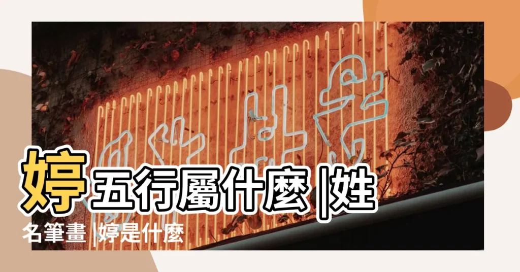 婷五行屬什麼 |姓名筆畫 |婷是什麼意思婷字五行屬什麼 |【婷字姓名學筆畫】