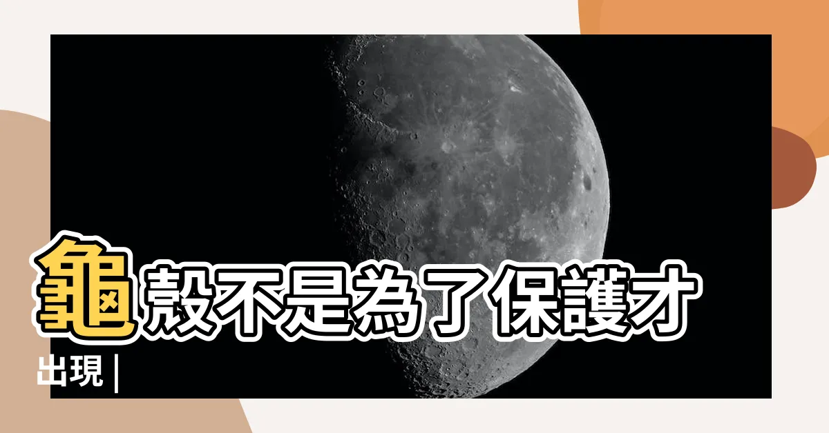 【海龜殼】龜殼不是為了保護才出現 |