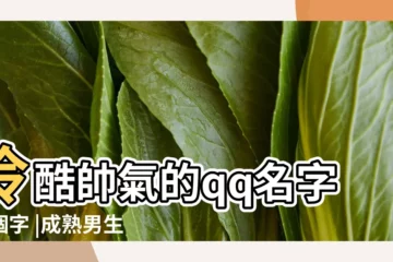 【qq男孩名字兩個字】冷酷帥氣的qq名字兩個字 |成熟男生兩個字的唯美古風好聽qq網名 |男生網名兩個字高冷 |