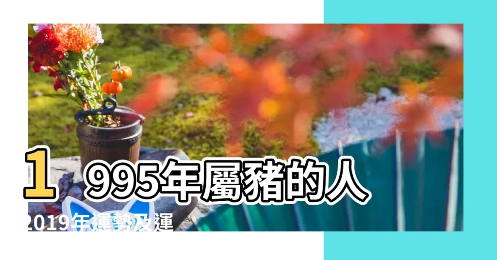 1995年屬豬的人2019年運勢及運程 |1995年屬豬的人2019年運程 |1995年出生屬豬的人2019年綜合運勢 |【1995年的人2019年運勢】