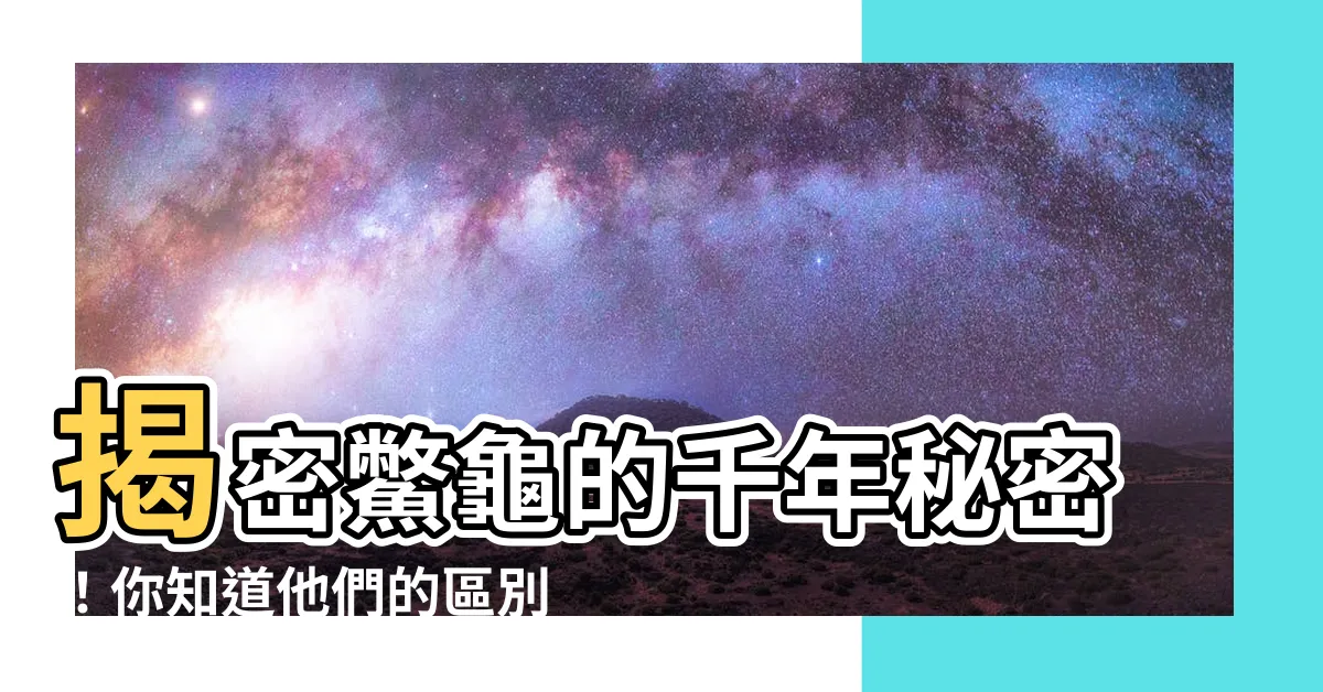 【鱉龜】揭密鱉龜的千年秘密！你知道他們的區別嗎？