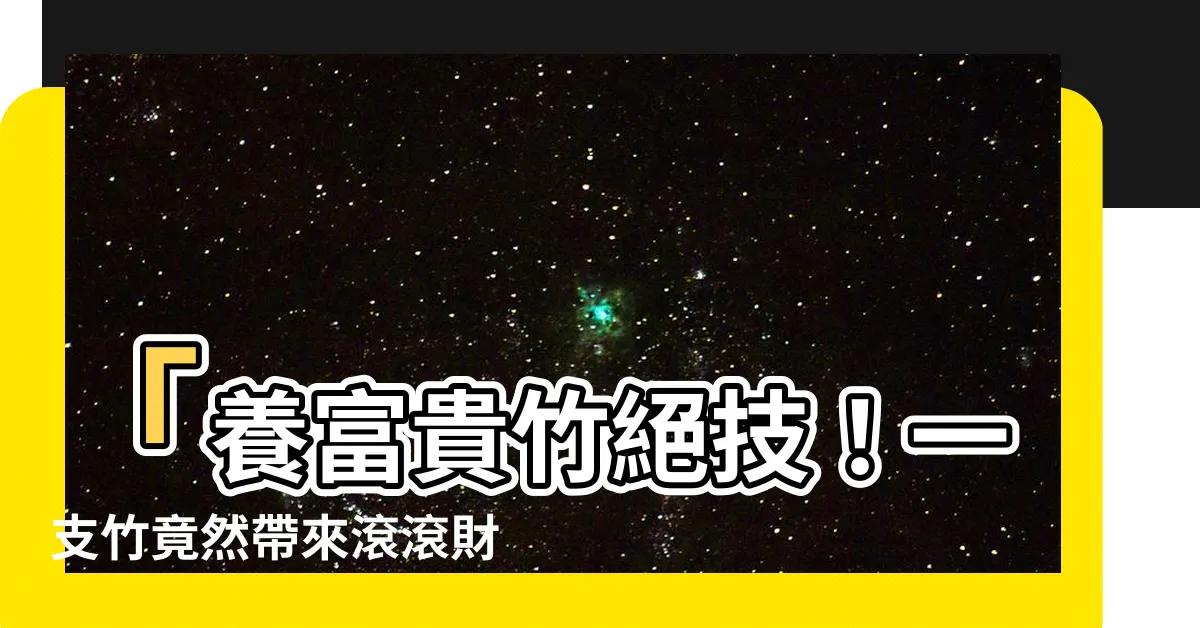 【富貴竹支數】「養富貴竹絕技！一支竹竟然帶來滾滾財源！必須知道的關鍵數字」