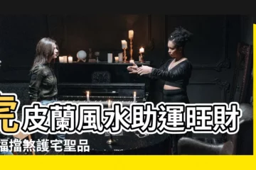 【虎皮蘭風水】虎皮蘭風水助運旺財 招福擋煞護宅聖品！