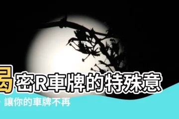 【r車牌意思】揭密R車牌的特殊意義，讓你的車牌不再普通！