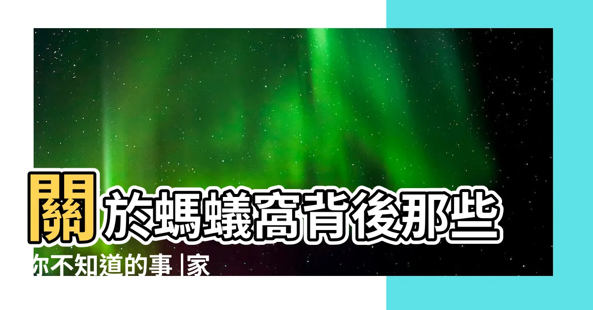 【家裡有蟻窩】關於螞蟻窩背後那些你不知道的事 |家裡螞蟻很多怎麼辦 |專家分享4招驅蟲妙方 |