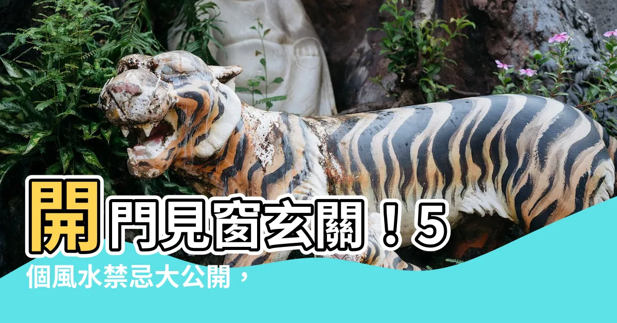 【開門見窗玄關】開門見窗玄關！5 個風水禁忌大公開，小心財神爺跑光光！