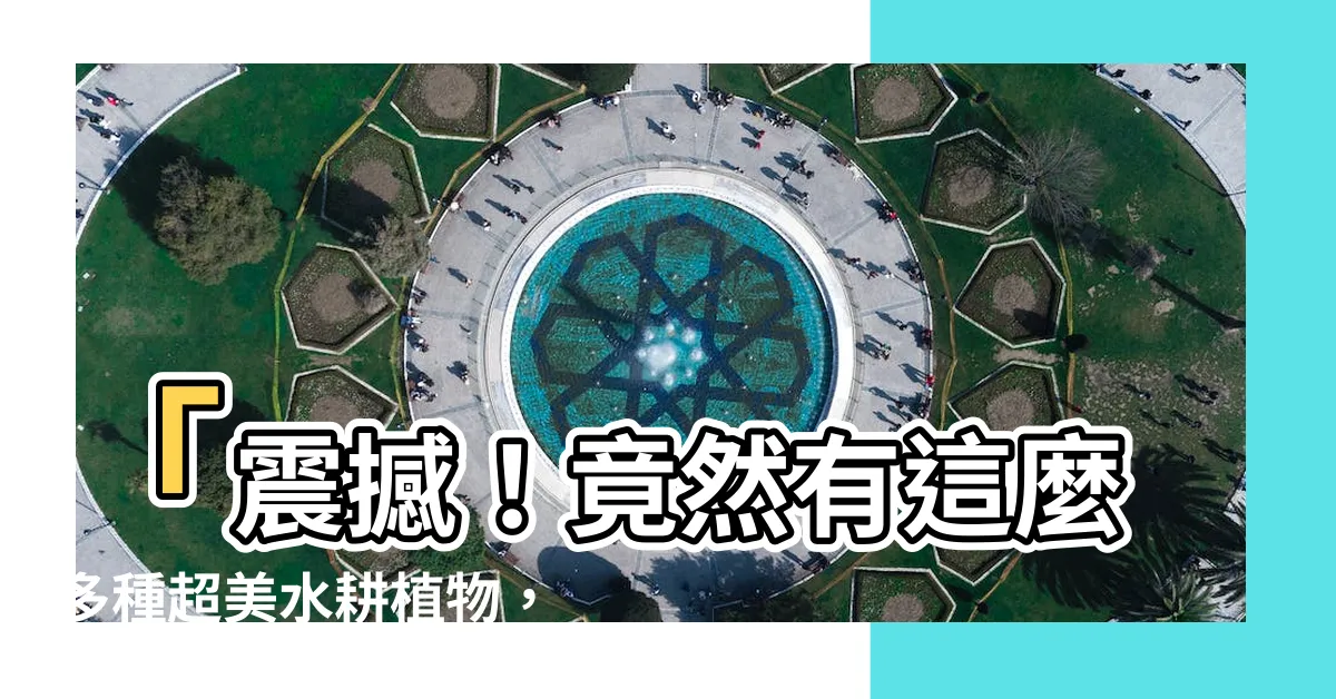 【水耕植物有哪些】「震撼！竟然有這麼多種超美水耕植物，你絕對無法想像！」