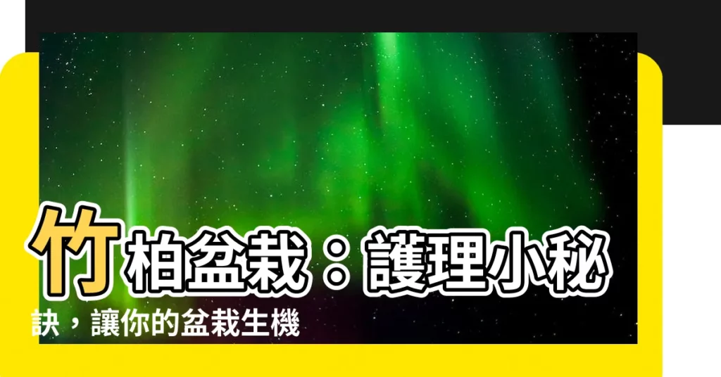 【竹柏盆栽】竹柏盆栽：護理小秘訣，讓你的盆栽生機勃勃！